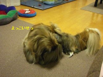 5d5c0091.jpg