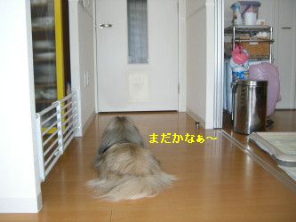 5e920273.jpg