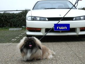 5fa9a434.jpg