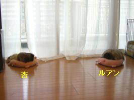 684d0f80.jpg