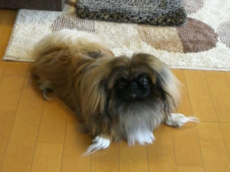 70be8836.jpg