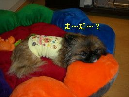 7333a856.jpg