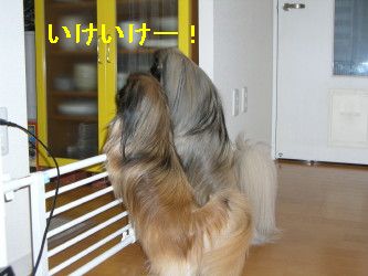7c8866d6.jpg