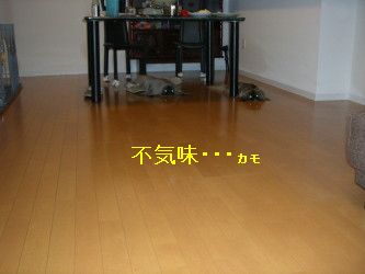 7ca7bd16.jpg