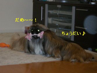 7d0818e8.jpg