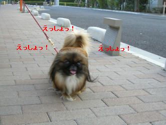 7d1293d5.jpg