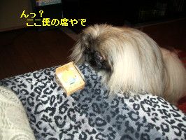 8265a739.jpg