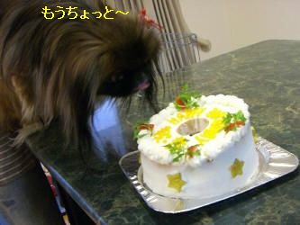 8834d8b8.jpg