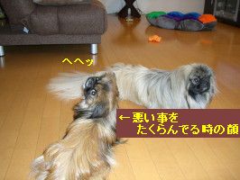 8b00b609.jpg