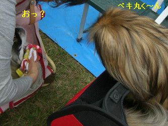 8b5a5e93.jpg