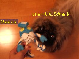 8e27835f.jpg