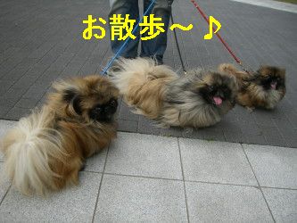 92d45b71.jpg