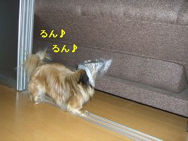 966c96c1.jpg