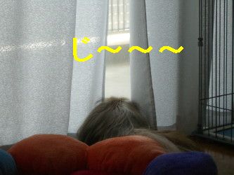 98445931.jpg