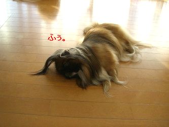 a0dbb0c2.jpg