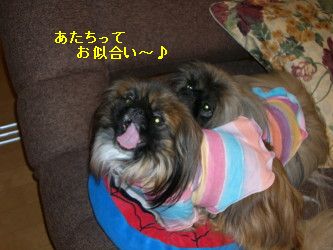 a948c0d0.jpg