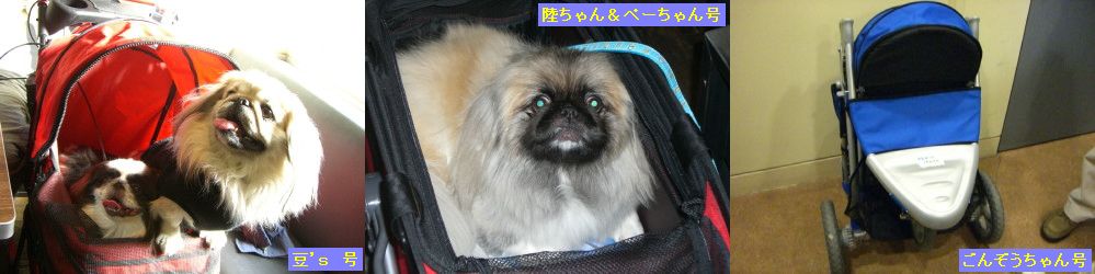 af43c5d5.jpg
