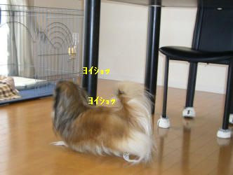 b04c9f25.jpg