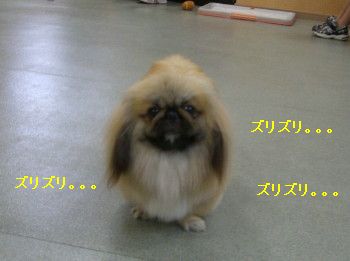 b4ddf45a.jpg