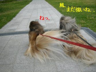 ba4543ab.jpg
