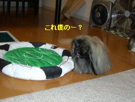 c657f796.jpg