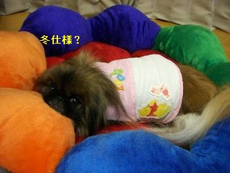 c8a62ee9.jpg
