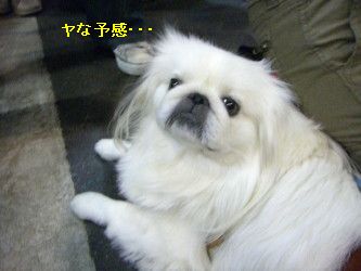 c93a9eb9.jpg