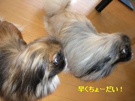 d09c01e1.jpg