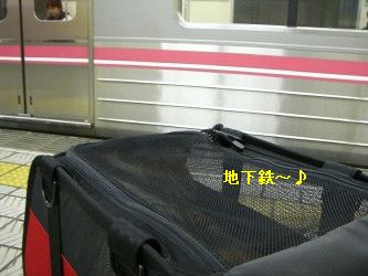 dcdc21bf.jpg