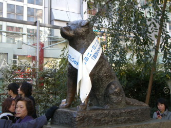 df6de20a.jpg