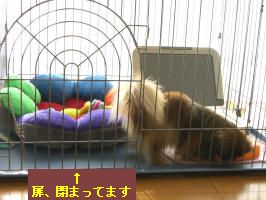 e9b487b6.jpg