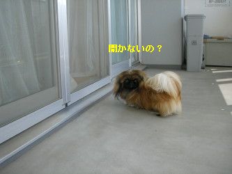 ebe9d8ca.jpg