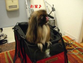 ef1cc26d.jpg