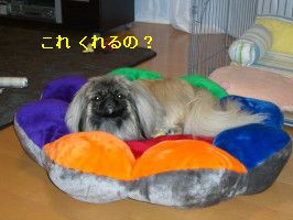 f00aade8.jpg