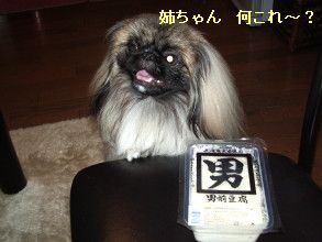 f017a4c6.jpg