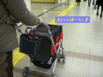 f1d13346.jpg