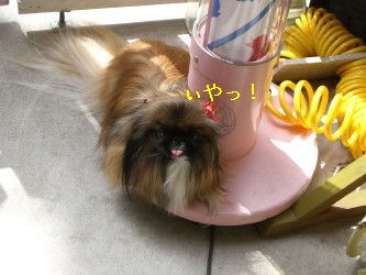 f81f05e0.jpg