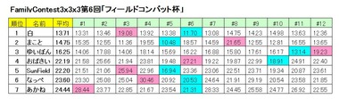FCResult333-6