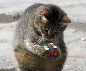RubiksCat
