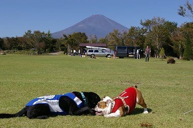 gotemba