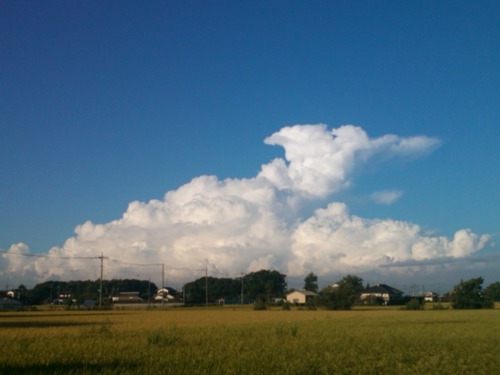 031636b8.jpg