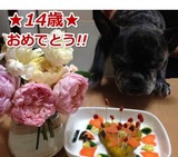 メグお姉ちゃん14歳