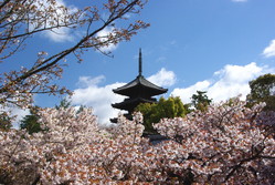 IMGP0011