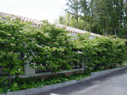 DSC03373