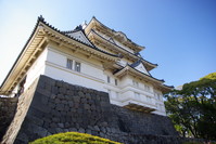 IMGP0066