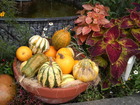 2010101710250000
