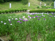 20110607_18