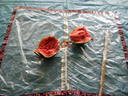 SANY0031