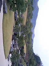d052b04e.jpg