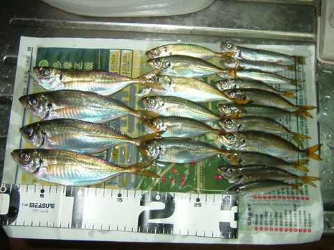 DSCF4968